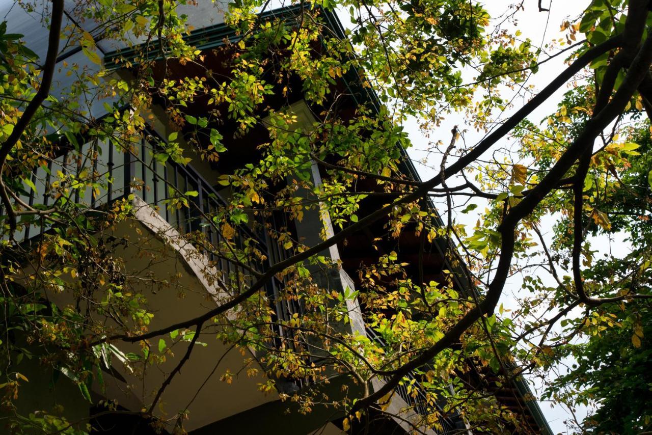 Tree Tops Гостьовий будинок Канді