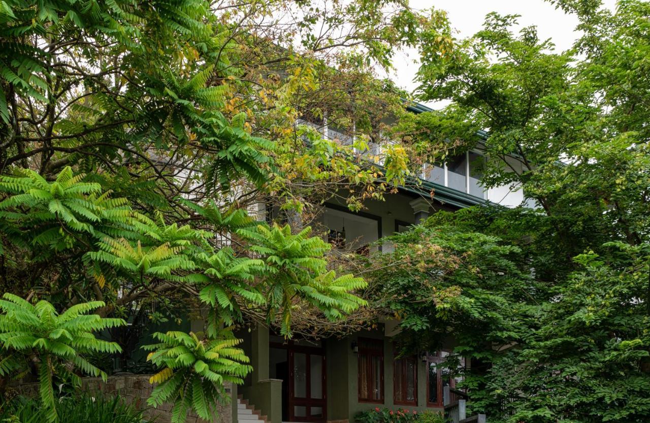 Gasthof Tree Tops
